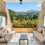 公寓 Doliva Chris Private Pool 阿齐欧斯·贡多斯